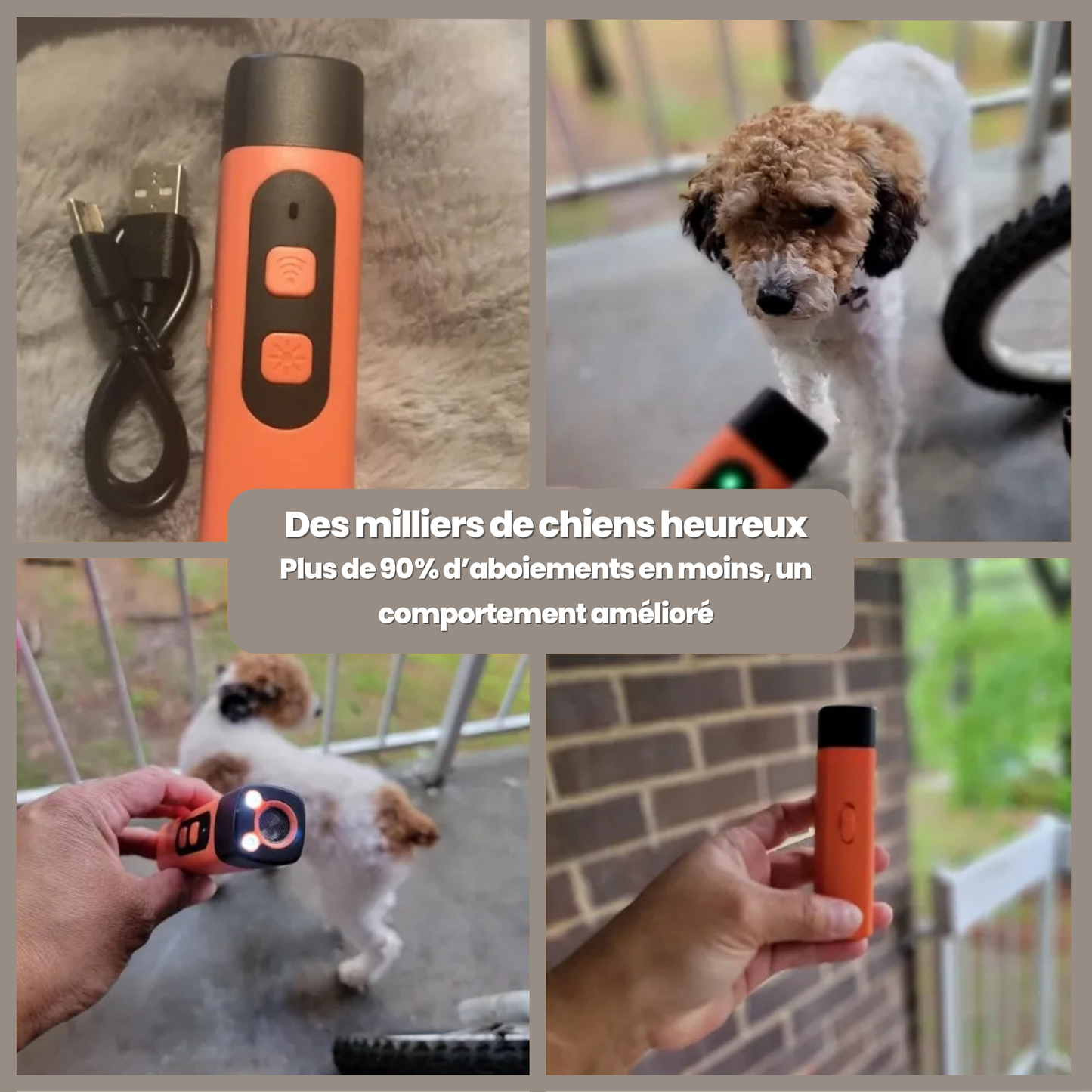 SilentDog™ Pro – Devenez le maître que votre chien écoute