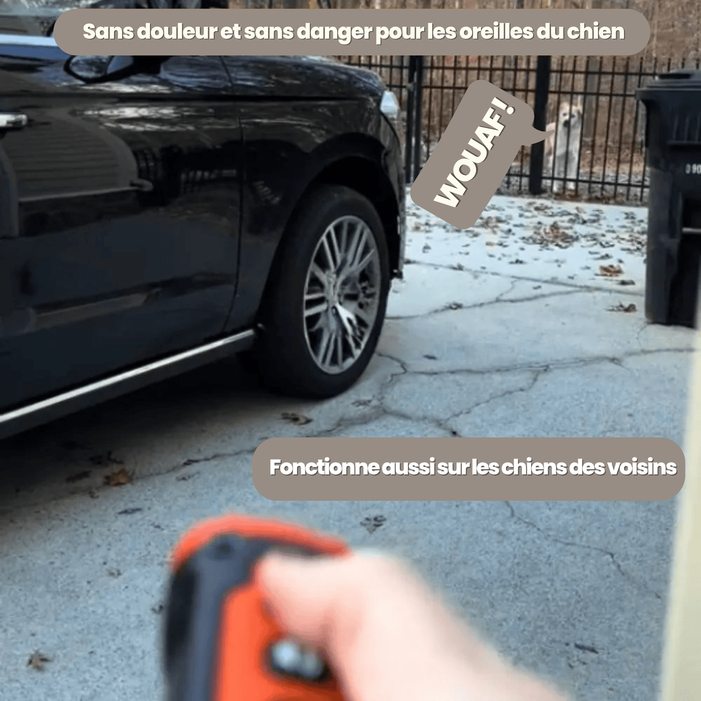 SilentDog™ Pro – Devenez le maître que votre chien écoute