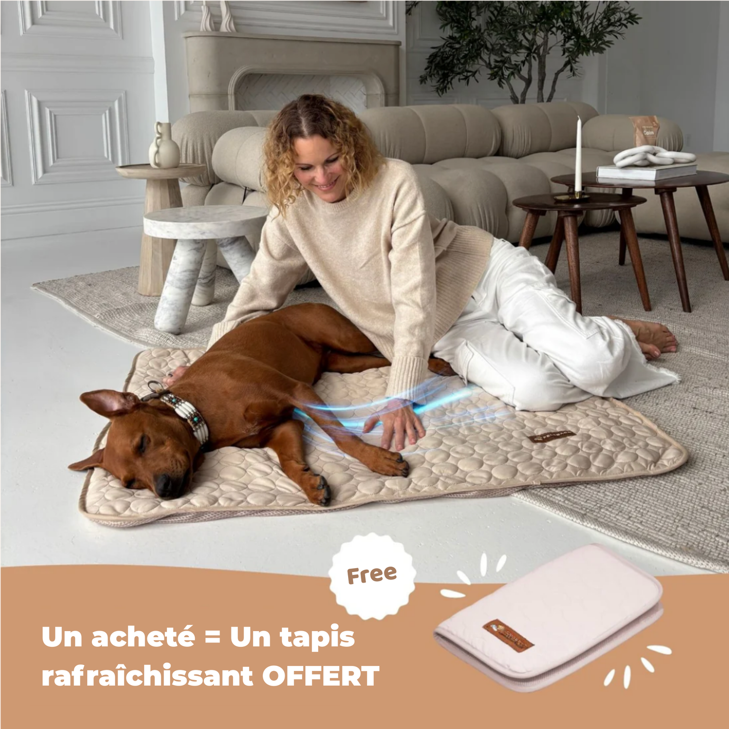 TAPIS RAFRAICHISSANT POUR CHIEN CALYNE 2.0 (1+1 GRATUIT)
