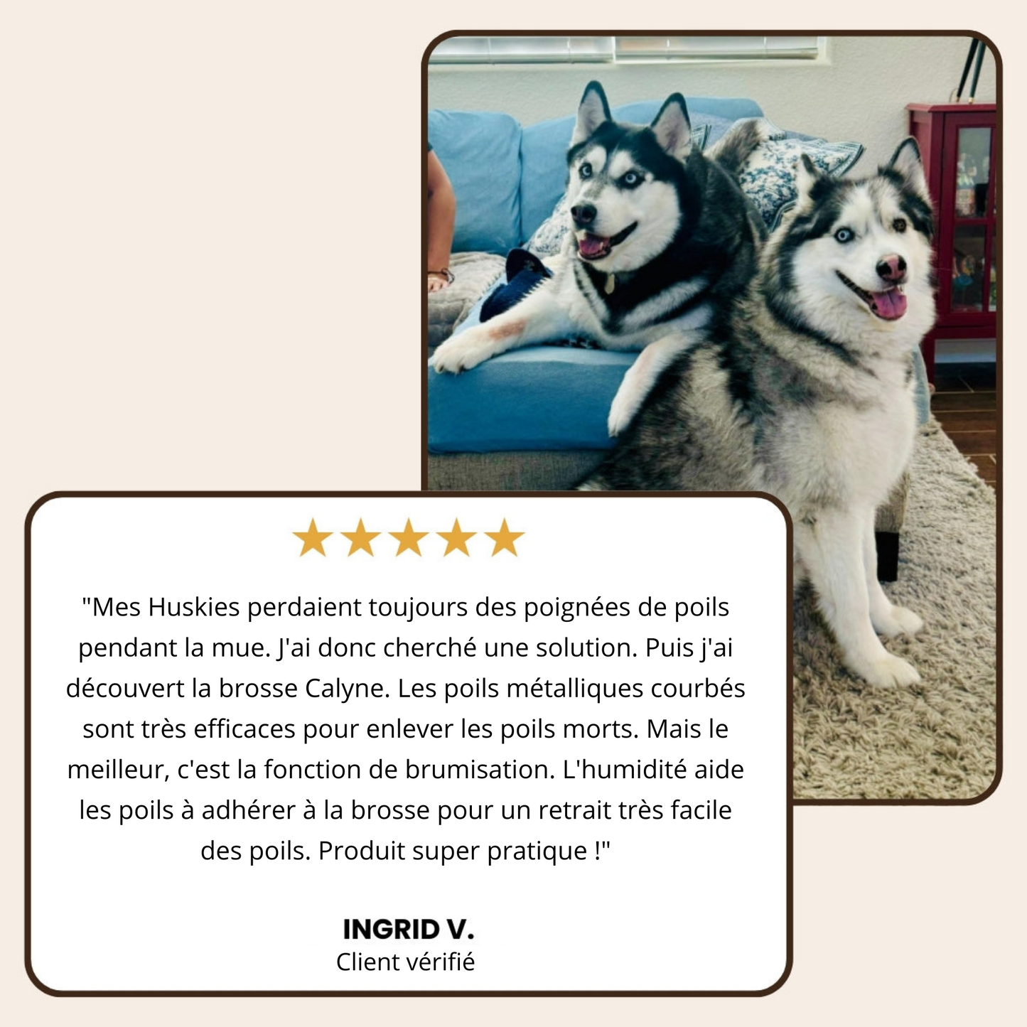 Calyne® SteamBrush Pro - Brosse de toilettage professionnelle pour animaux de compagnie