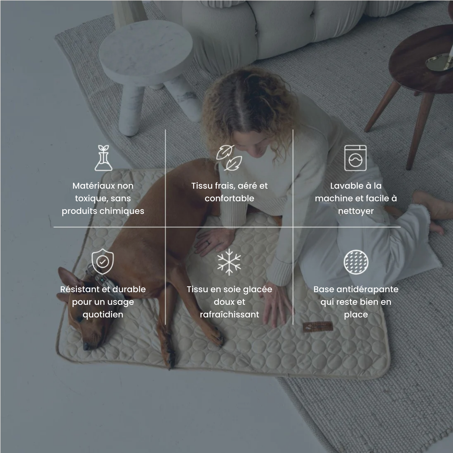 TAPIS RAFRAICHISSANT POUR CHIEN CALYNE 2.0 (1+1 GRATUIT)