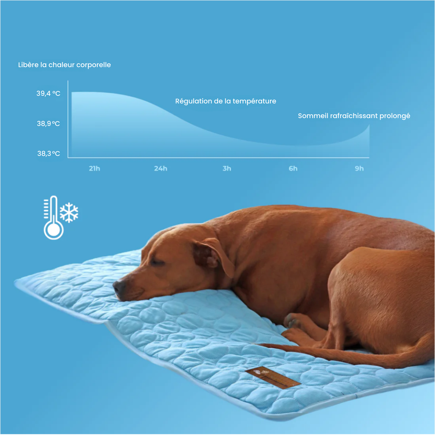 TAPIS RAFRAICHISSANT POUR CHIEN CALYNE 2.0 (1+1 GRATUIT)