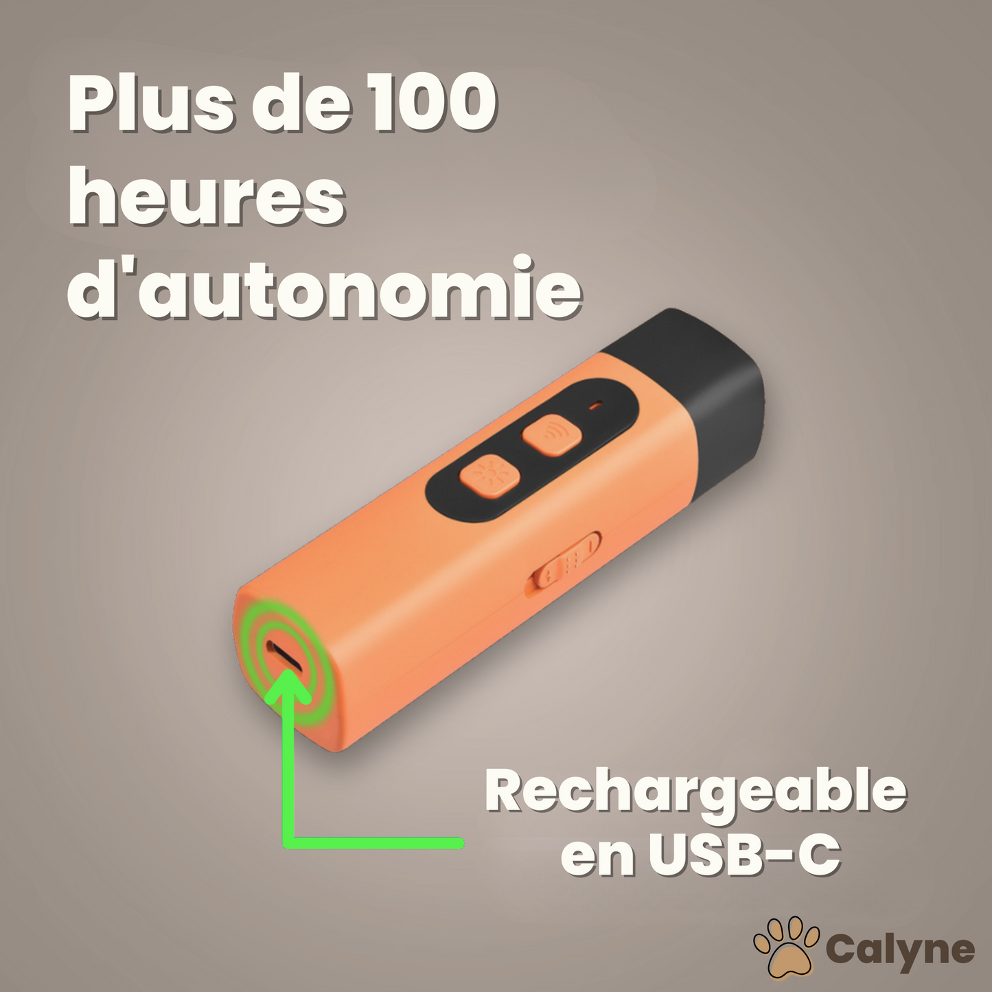SilentDog™ Pro – Devenez le maître que votre chien écoute