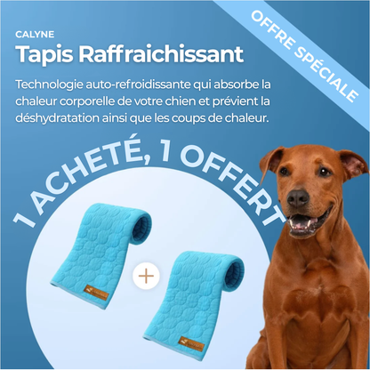 TAPIS RAFRAICHISSANT POUR CHIEN CALYNE 2.0 (1+1 GRATUIT)