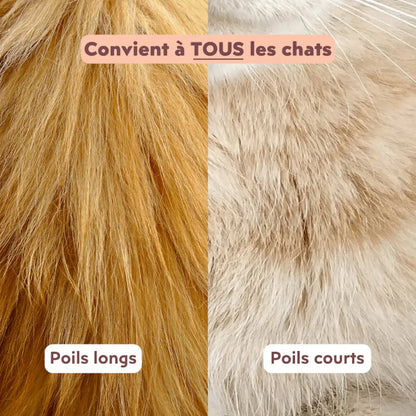 Tondeuse SoftSilence
