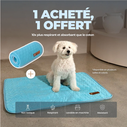 TAPIS RAFRAICHISSANT POUR CHIEN CALYNE 2.0 (1+1 GRATUIT)
